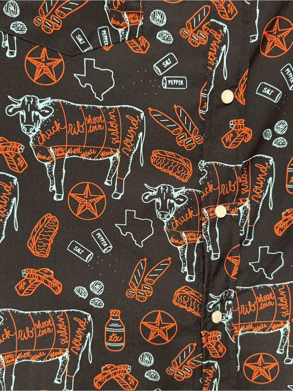 Texas BBQ Nights Pearl Snap by Raised By Coyotes Size XL - Picture 5 of 10